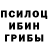 Псилоцибиновые грибы Cubensis Lance Abinsay