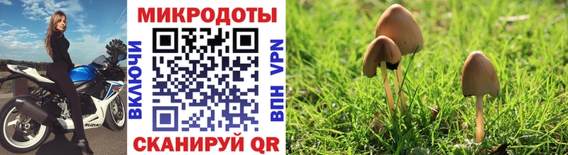Галлюциногенные грибы мицелий  Купить где  Суоярви 