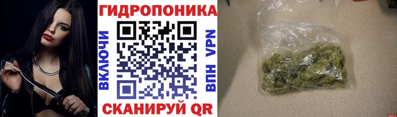 Купить  Суоярви  Шишки марихуана OG Kush 